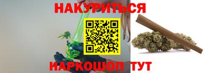 индика Можайск