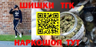 индика Можайск
