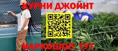 индика Можайск