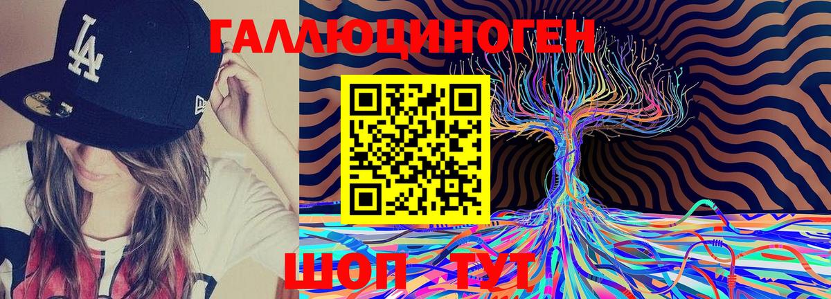 Псилоцибиновые грибы Psilocybine cubensis Берёзовский