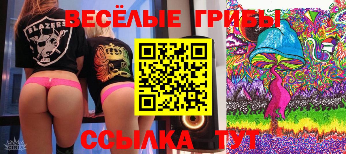 Псилоцибиновые грибы Psilocybe  Вход с VPN  Берёзовский 