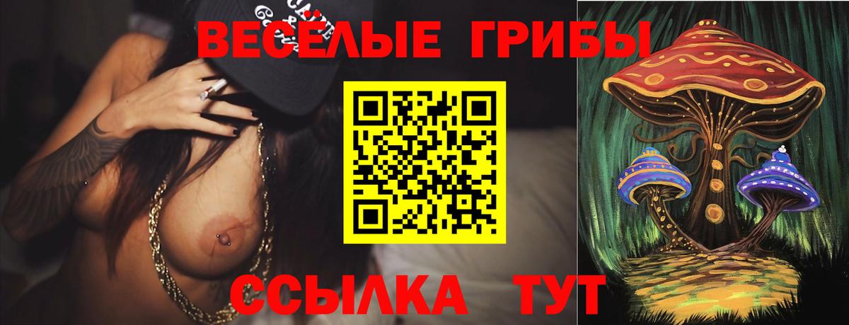 Галлюциногенные грибы Magic Shrooms Берёзовский