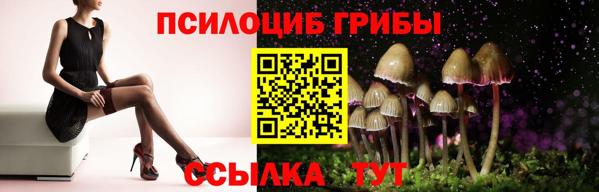 Галлюциногенные грибы Psilocybine cubensis  купить наркотики цена  Берёзовский  Вход с VPN 